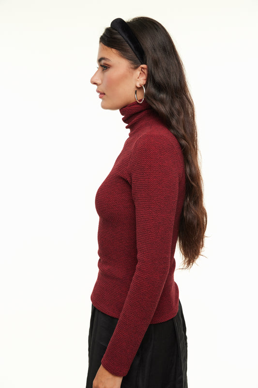 Basic Knit Women’s Turtleneck, Wine – Olivvi World